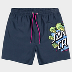 Santa Cruz Johnson Beast Dot Boardshort